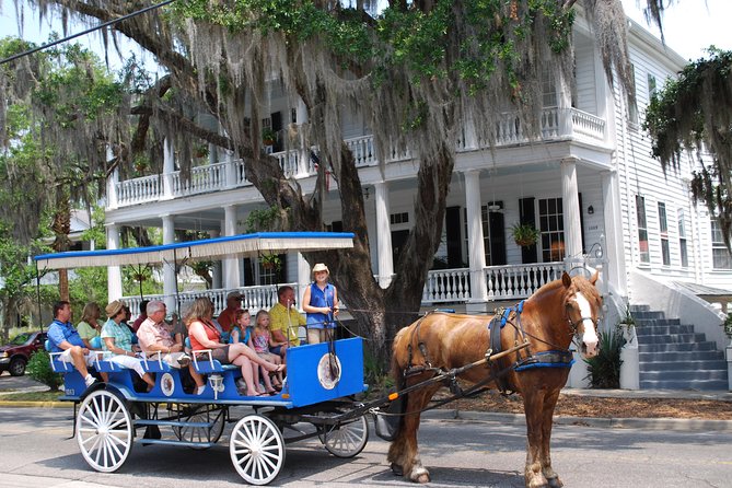 #1 Historical Horse Drawn Carriage Tour - Key highlights to look for