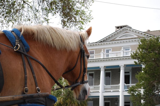 #1 Historical Horse Drawn Carriage Tour - Horse-Drawn in Beaufort: why this 55-minute format works