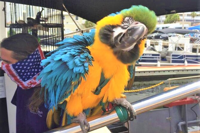1-Hour Interactive Pirate Cruise (arrive 30 minutes early) - Boarding Bluefoot at Dania Beach, and What You Need to Know First