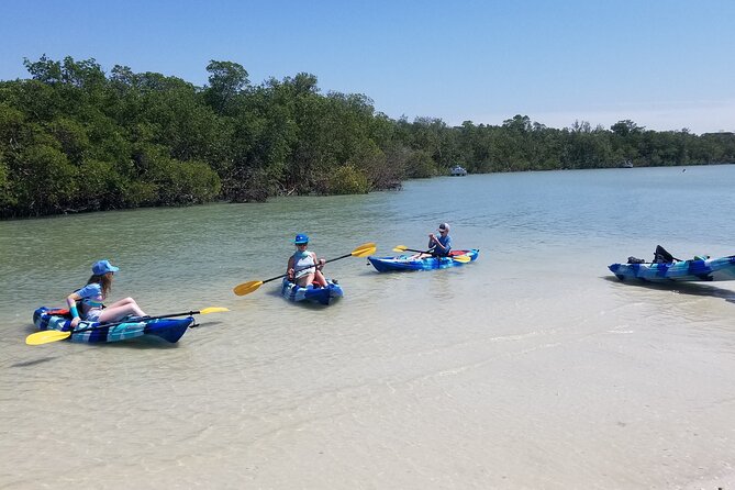 2.5-Hour Guided Group Kayak Tour on Big Hickory Pass - Wildlife odds: what you can expect and how to set expectations