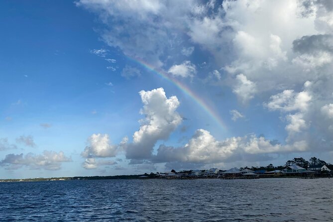 2-Hour Dolphin and Nature Eco Tour from Orange Beach - Dolphins in Orange Beach Back Bays, Not Just Open Water