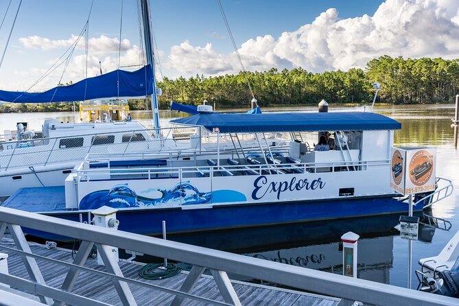 2-Hour Dolphin and Nature Eco Tour from Orange Beach - The 2-Hour Ride Plan Starts at Wharf Pkwy W
