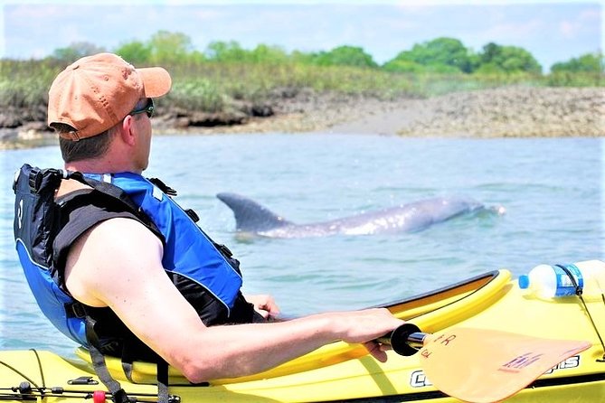 2-Hour Guided Kayak Eco Tour in Charleston - Key Highlights From the Bowens Island Paddle