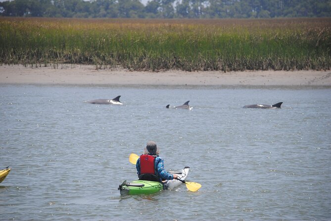 2-Hour Guided Kayak Eco Tour in Charleston - What Happens on Your Body: Gear, Footing, and the Oyster Shell Reality