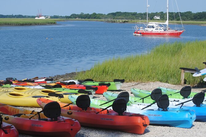 2-Hour Guided Kayak Eco Tour in Charleston - Value in 2 Hours: What You Pay for, and What You Get Included