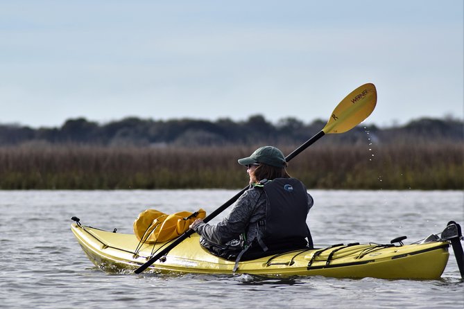 2-Hour Guided Kayak Eco Tour in Charleston - Folly Beach Tidal Creeks and Saltmarsh: Wildlife You Can Actually Spot
