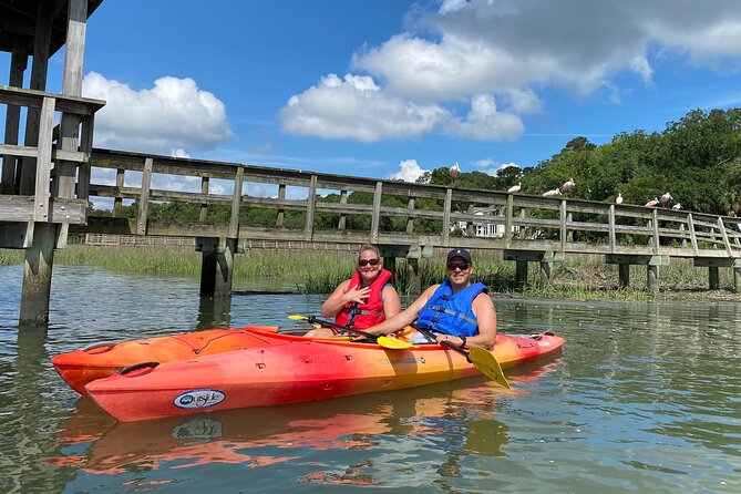 2-Hour Hilton Head Guided Kayak Nature Tour - Key Highlights You’ll Care About