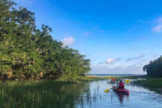 2-Hour Hilton Head Guided Kayak Nature Tour - Price and Value: Is $47 a Good Deal?