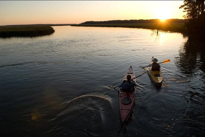 2-Hour Hilton Head Guided Kayak Nature Tour - Family Fit, Age Rules, and Safety for Beginners