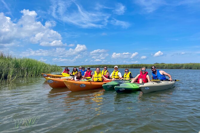 2-Hour Hilton Head Guided Kayak Nature Tour - Should You Book the 2-Hour Hilton Head Guided Kayak Nature Tour?