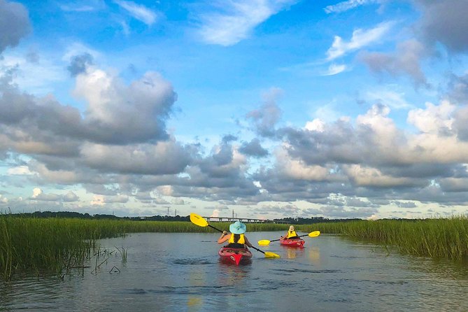 2-Hour Hilton Head Guided Kayak Nature Tour - Wildlife Highlights: Dolphins, Birds, and What to Watch For