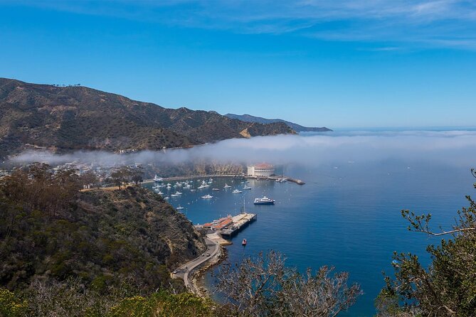 2 hour Inside Adventure Tour on Catalina Island - Key points before you go