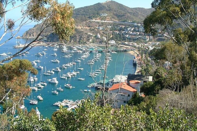 2 hour Inside Adventure Tour on Catalina Island - Getting off the paved path into Catalina’s protected interior