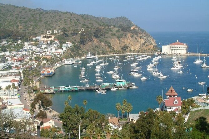 2 hour Inside Adventure Tour on Catalina Island - Nature Center at the highest point, plus Native American context