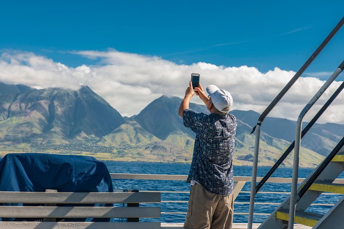 2-Hour Oahu Whale Watch from Ala Wai Harbor, Waikiki - Why humpback season makes Waikiki feel like a real wildlife outing