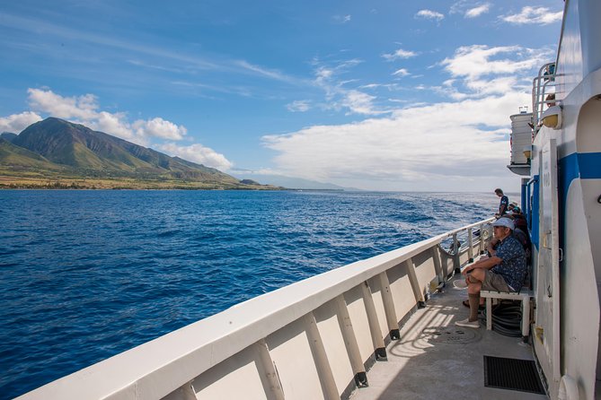 2-Hour Oahu Whale Watch from Ala Wai Harbor, Waikiki - What “live narration” really adds to your whale-spotting odds