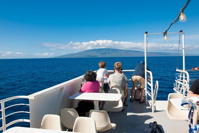 2-Hour Oahu Whale Watch from Ala Wai Harbor, Waikiki - Seasickness and comfort: plan for wind and chop in Waikiki