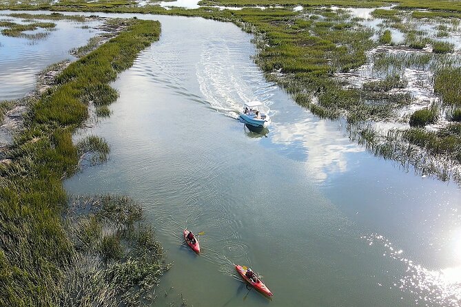 2-Hour Private Hilton Head Dolphin Watching Cruise - Key Points You Should Know Before You Go