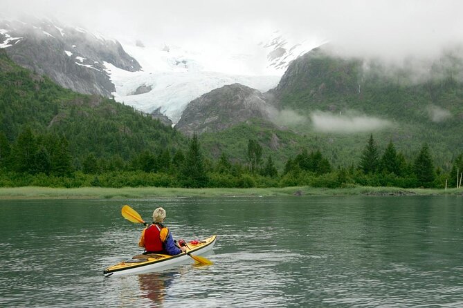 26 Glacier Cruise and Coach from Anchorage, AK - Key highlights you should care about