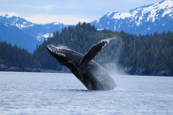 26 Glacier Cruise and Coach from Anchorage, AK - Whittier: The Gateway Town You’ll Actually See