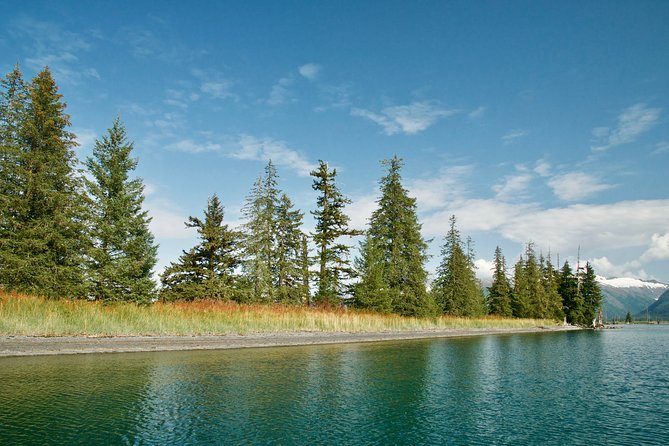 26 Glacier Cruise and Coach from Anchorage, AK - What to Bring and How to Prep for the Day