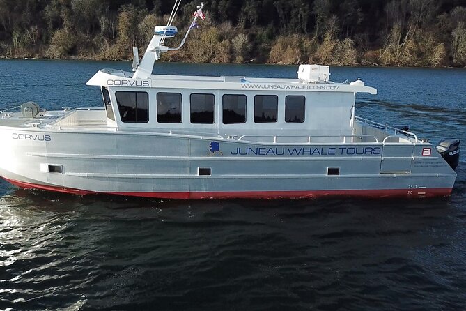 3.5 Hour Crowd-Skipping Whale Tour in Juneau, Alaska - Key Points You Will Actually Care About