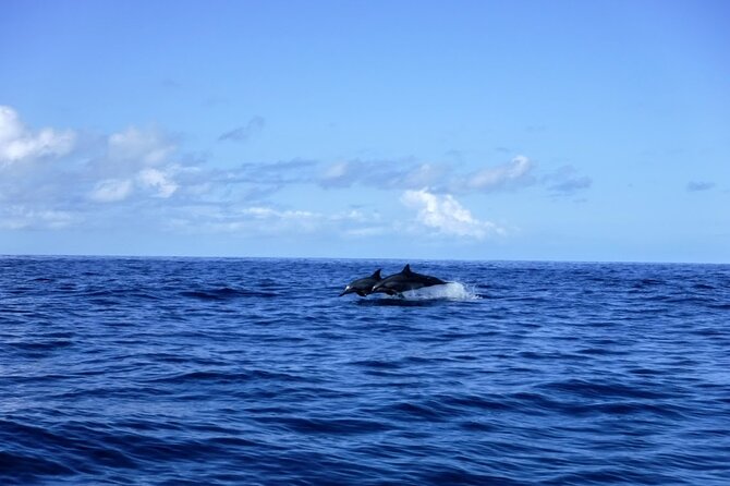 3.5 Hour Kailua-Kona Ocean Kayak and Snorkel Tour - Breaks on land: blow holes, lava tubes, The Elevator, and The Rings