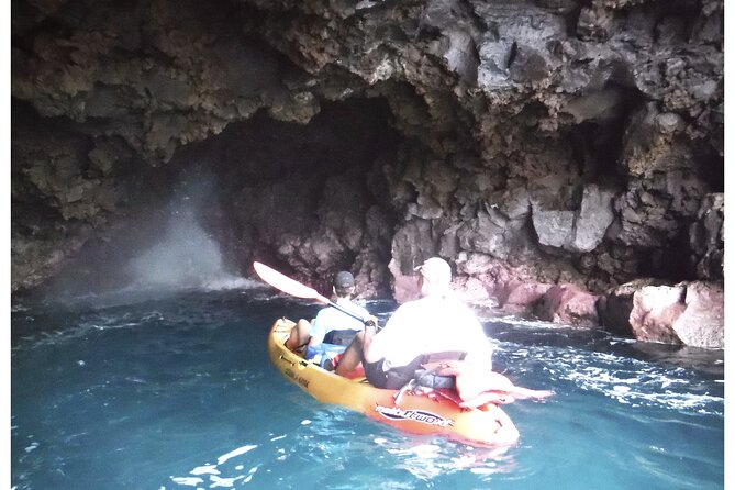 3.5 Hour Kailua-Kona Ocean Kayak and Snorkel Tour - Snorkeling stops: coral, 50+ fish species, and what to look for