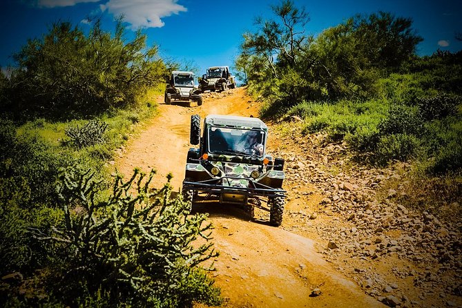 3 Hour Guided TomCar ATV Experience in Sonoran Desert - The “3 to 3.5 hours” difference, and why it matters