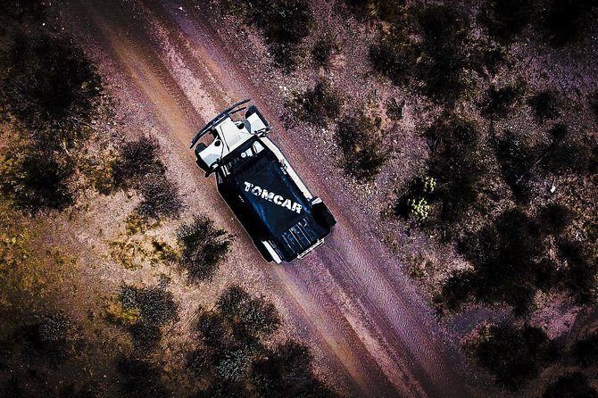 3 Hour Guided TomCar ATV Experience in Sonoran Desert - Desert talks outside the Tomcar, and what you’ll learn