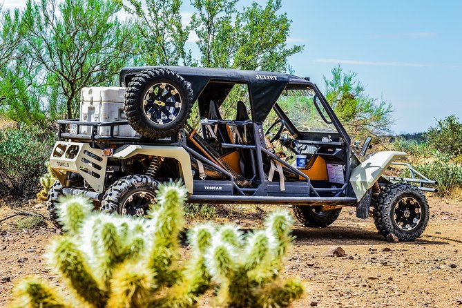 3 Hour Guided TomCar ATV Experience in Sonoran Desert - The ride reality check: rough terrain, sore arms, and rain