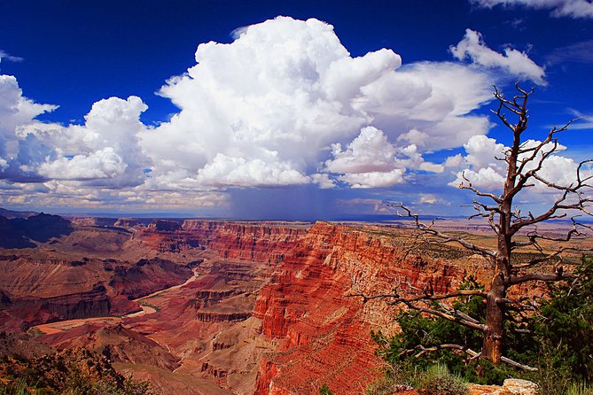 3 Hour Off-Road Sunset Safari to Grand Canyon with Entrance Gate Detour - Who this Grand Canyon sunset safari fits best
