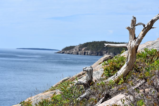3 Hour: Private, locally guided Acadia with Cadillac Summit - Thunder Hole: a short walk that delivers the show