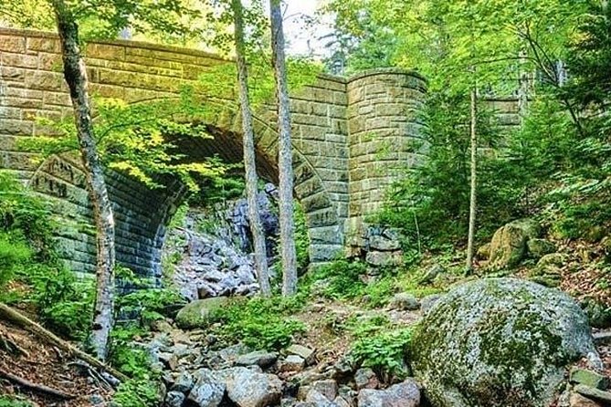 3 Hour: Private, locally guided Acadia with Cadillac Summit - Precipice and Otter Cliffs: wildlife scanning with a local eye
