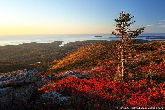 3 Hour: Private, locally guided Acadia with Cadillac Summit - Getting picked up in downtown Bar Harbor, no parking hunt required