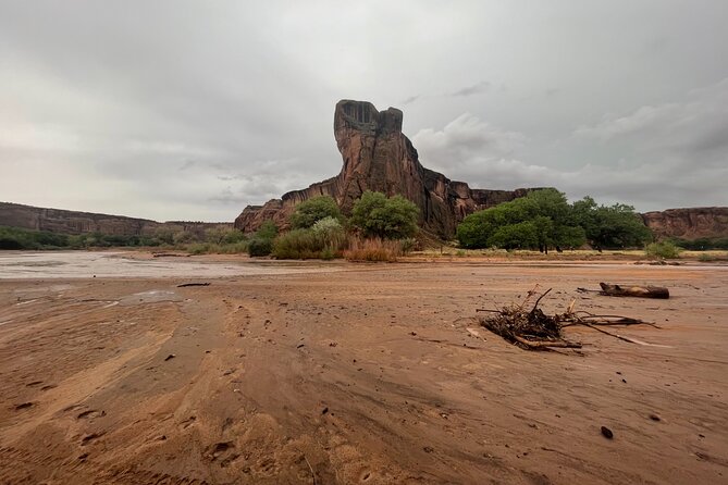 3-hour Private Tour - The Navajo guide experience, stories, and family context