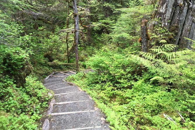 3 Hour Rainforest Walk & Totem Park Wild Wolf Tours - Potlatch Totem Park: Clan House Stories for Tlingit, Haida, and Tsimshian Life