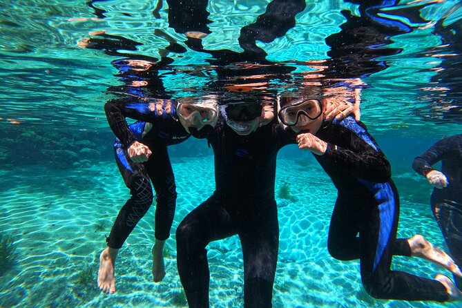 3 hours Manatee Swim Tour in Florida - Three Sisters Springs: why it’s a good target and what can go wrong