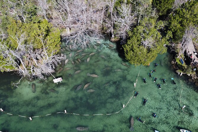 3 hours Manatee Swim Tour in Florida - Who this tour fits best, and who might want another option