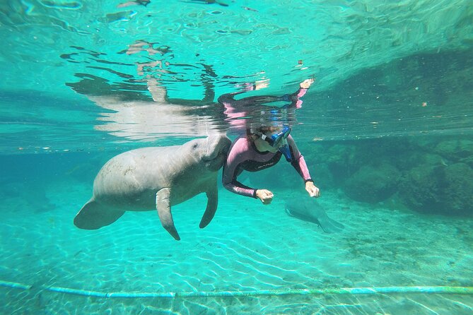 3 hours Manatee Swim Tour in Florida - Where you start: private docks, heated changing, and full gear