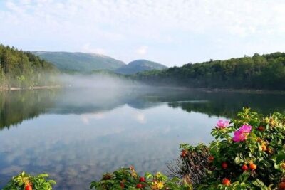 4 Hour: Elite & Exclusive Acadia with Fjord and Mansions
