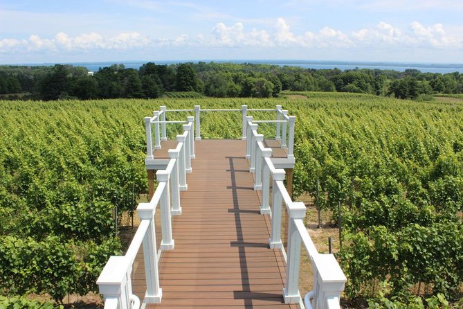 5-Hour Traverse City Wine Tour: 4 Wineries on Old Mission Peninsula - Stop 3: Brys Estate Vineyard & Winery and Its East Bay View Angle
