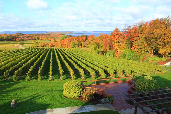 5-Hour Traverse City Wine Tour: 4 Wineries on Old Mission Peninsula - How the $79 Price Works: Tour Cost vs Wine Cost