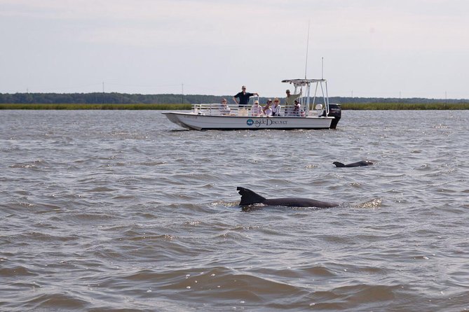 90-Minute Dolphin and Nature Tour of Hilton Head - Who should book this dolphin and nature cruise?