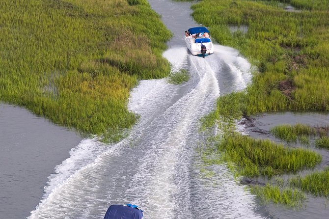 90-Minute Dolphin and Nature Tour of Hilton Head - My take: should you book?