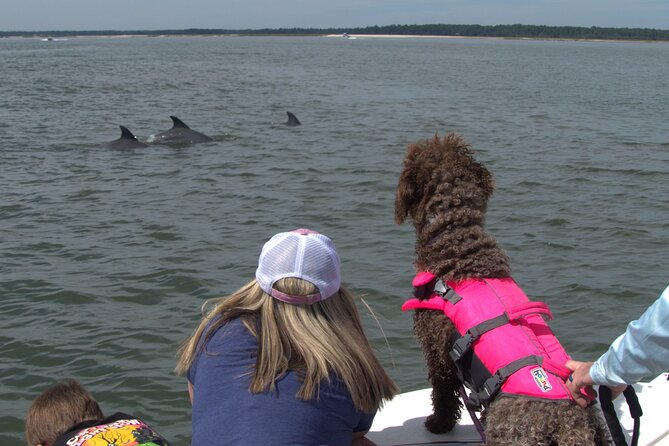 90-Minute Private Dolphin Tour in Hilton Head Island - Where You Go: From Lighthouse Photo Pause to Cooper River and Daufuskie