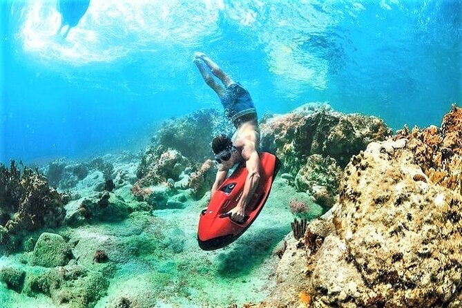 90-Minute Snorkel & Seabob Underwater Guided Reef Tour in Fort Lauderdale - Beach check-in, waivers, and the safety basics that make it work