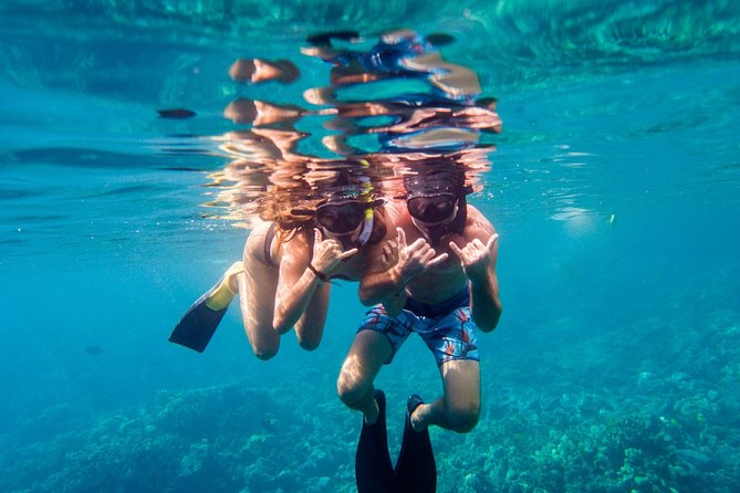 Afternoon Sail & Snorkel to the Captain Cook Monument - Who this tour suits best