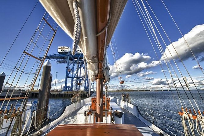 Afternoon Schooner Sightseeing Dolphin Cruise on Charleston Harbor - Dolphin watching: what to expect around bottle-nose pods