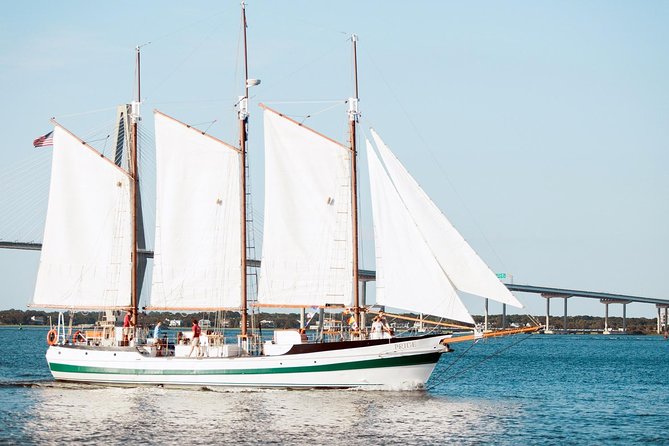 Afternoon Schooner Sightseeing Dolphin Cruise on Charleston Harbor - Value check: is $45 for 1.5 hours a good deal?